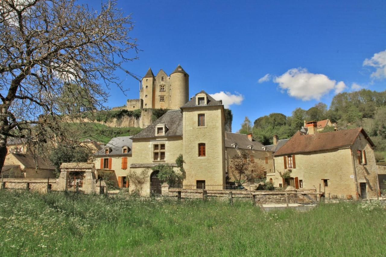 Petite Maison En Pierre Au Coeur Du Perigord Noir Salignac Eyvigues المظهر الخارجي الصورة