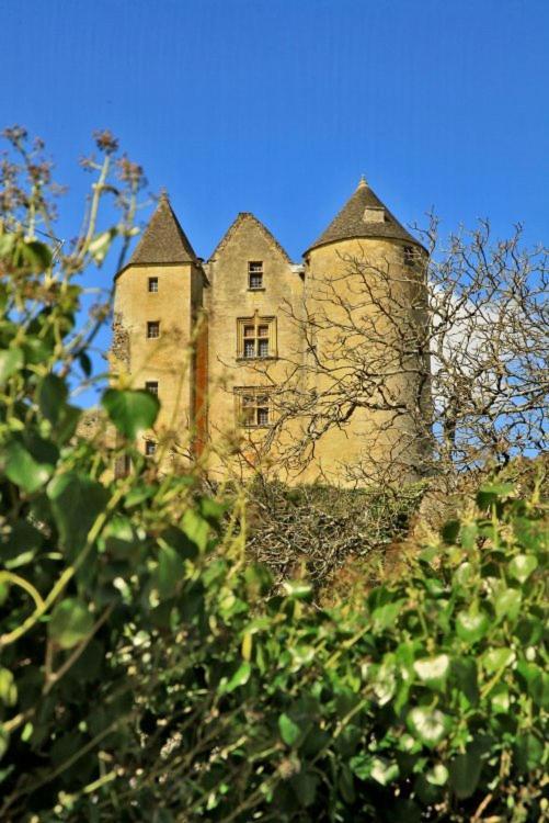 Petite Maison En Pierre Au Coeur Du Perigord Noir Salignac Eyvigues المظهر الخارجي الصورة