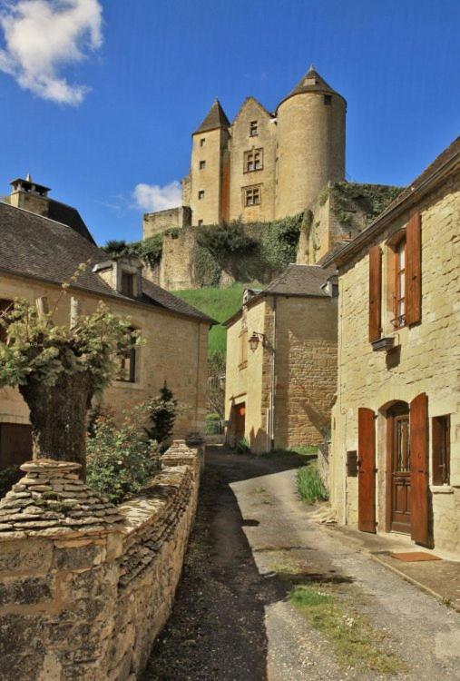 Petite Maison En Pierre Au Coeur Du Perigord Noir Salignac Eyvigues المظهر الخارجي الصورة