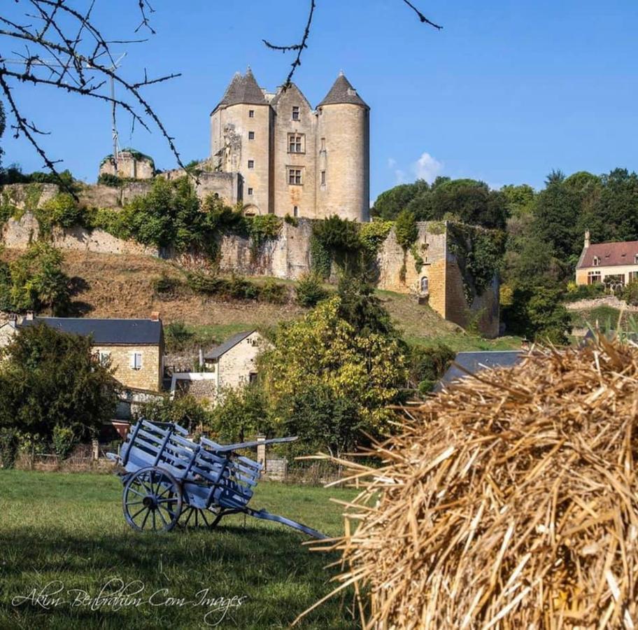 Petite Maison En Pierre Au Coeur Du Perigord Noir Salignac Eyvigues المظهر الخارجي الصورة